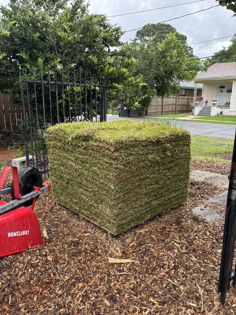 Kill your lawn! (Or&nbsp;don’t.)